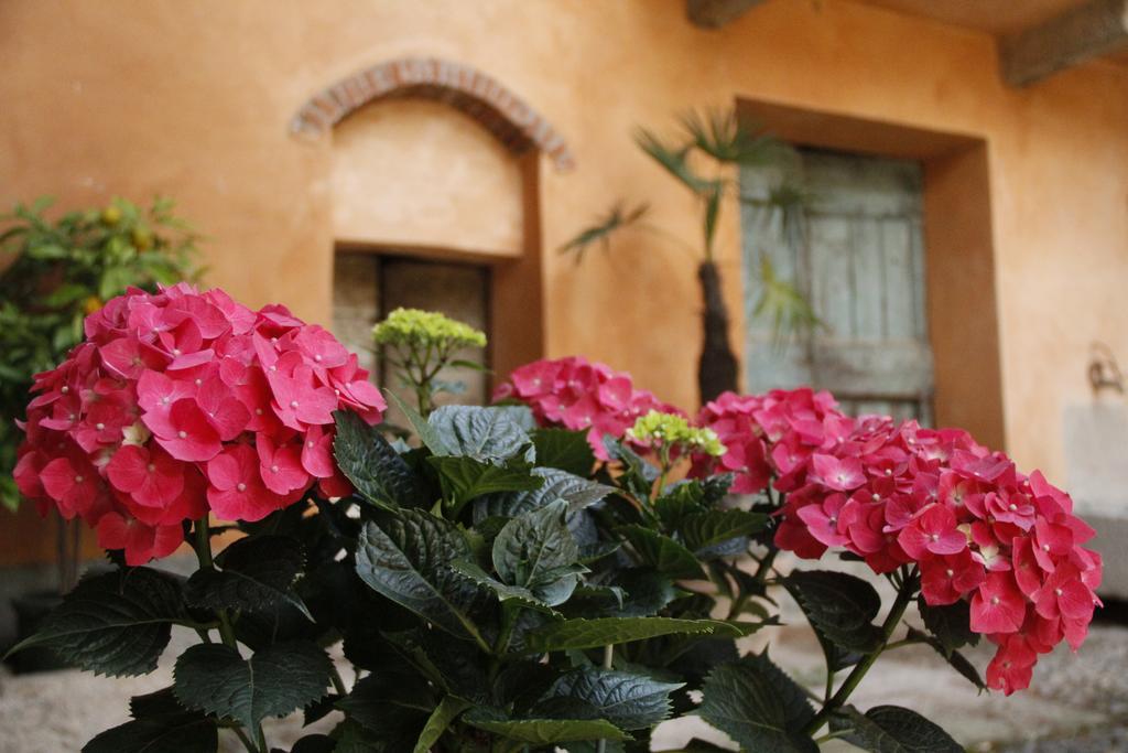 Borgo Archinto Apartamento Robecco sul Naviglio Exterior foto